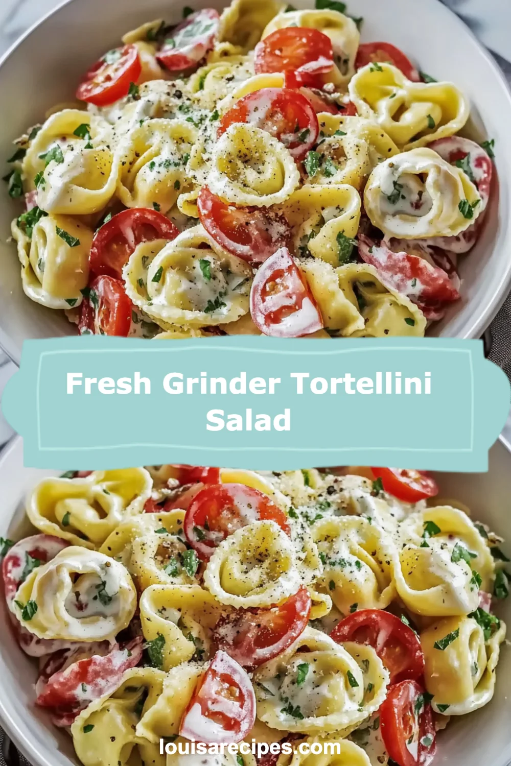 Fresh Grinder Tortellini Salad Recipe (Quick and Easy!)