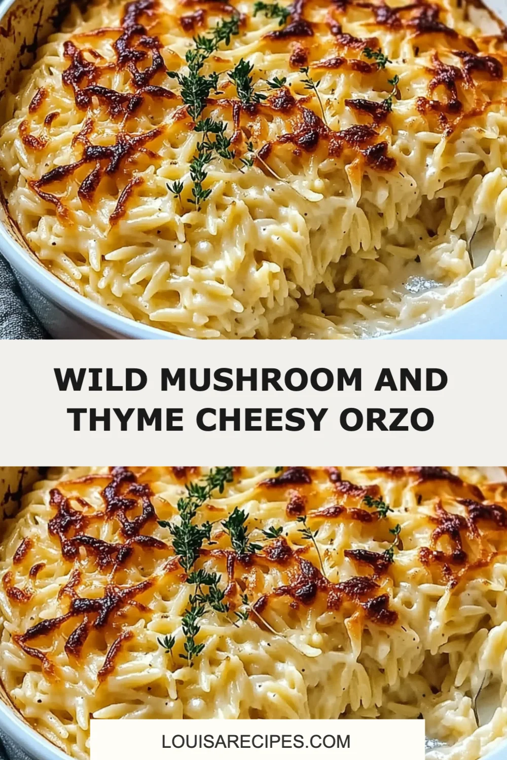 Wild Mushroom and Thyme Cheesy Orzo Recipe