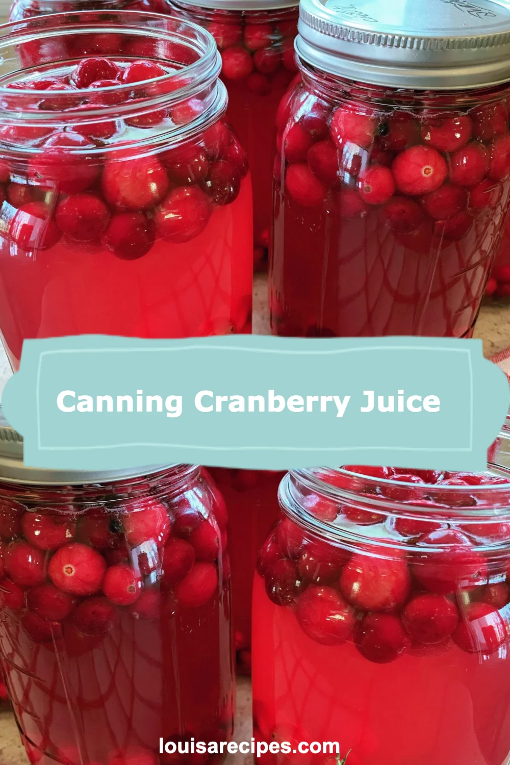 Canning Cranberry Juice Made Easy: Enjoy Fresh Flavor Year-Round with This Step-by-Step Guide!