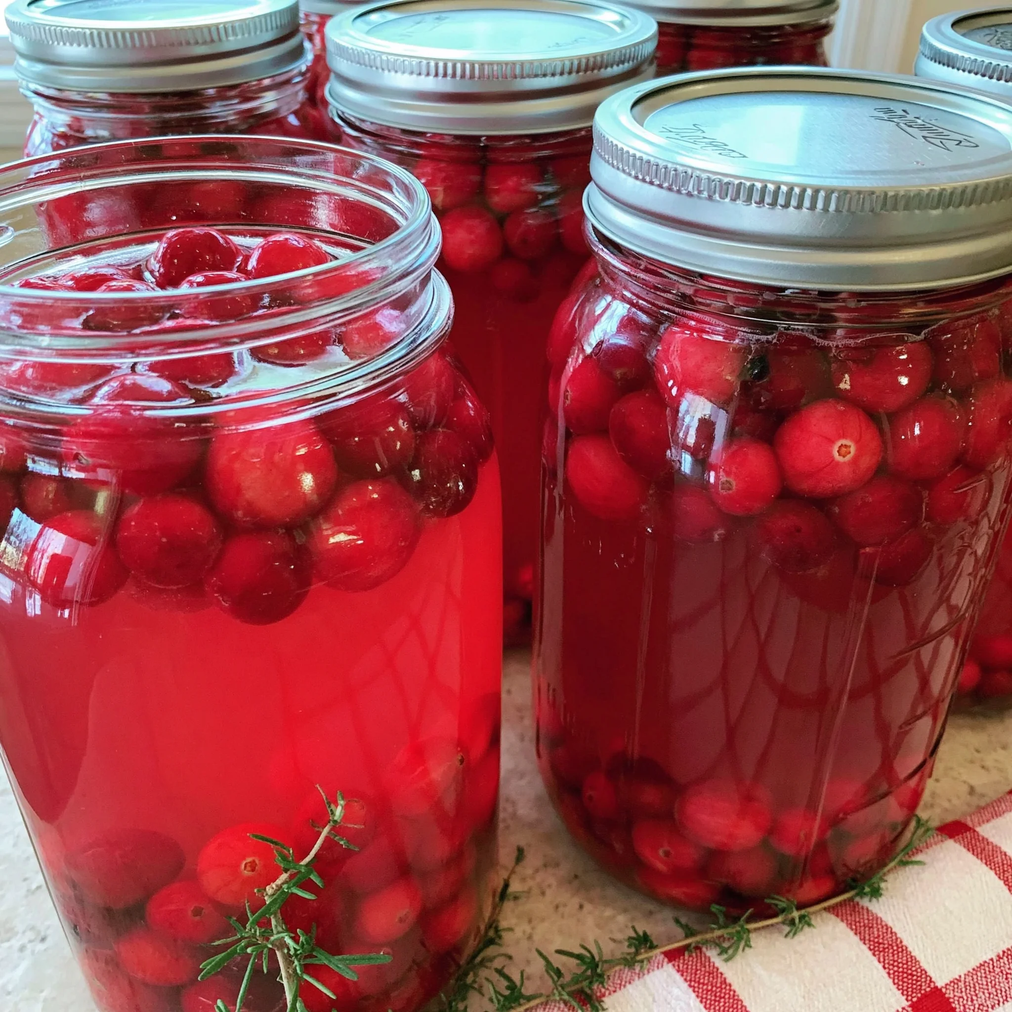 Canning Cranberry Juice Recipe (Fresh and Flavorful!)