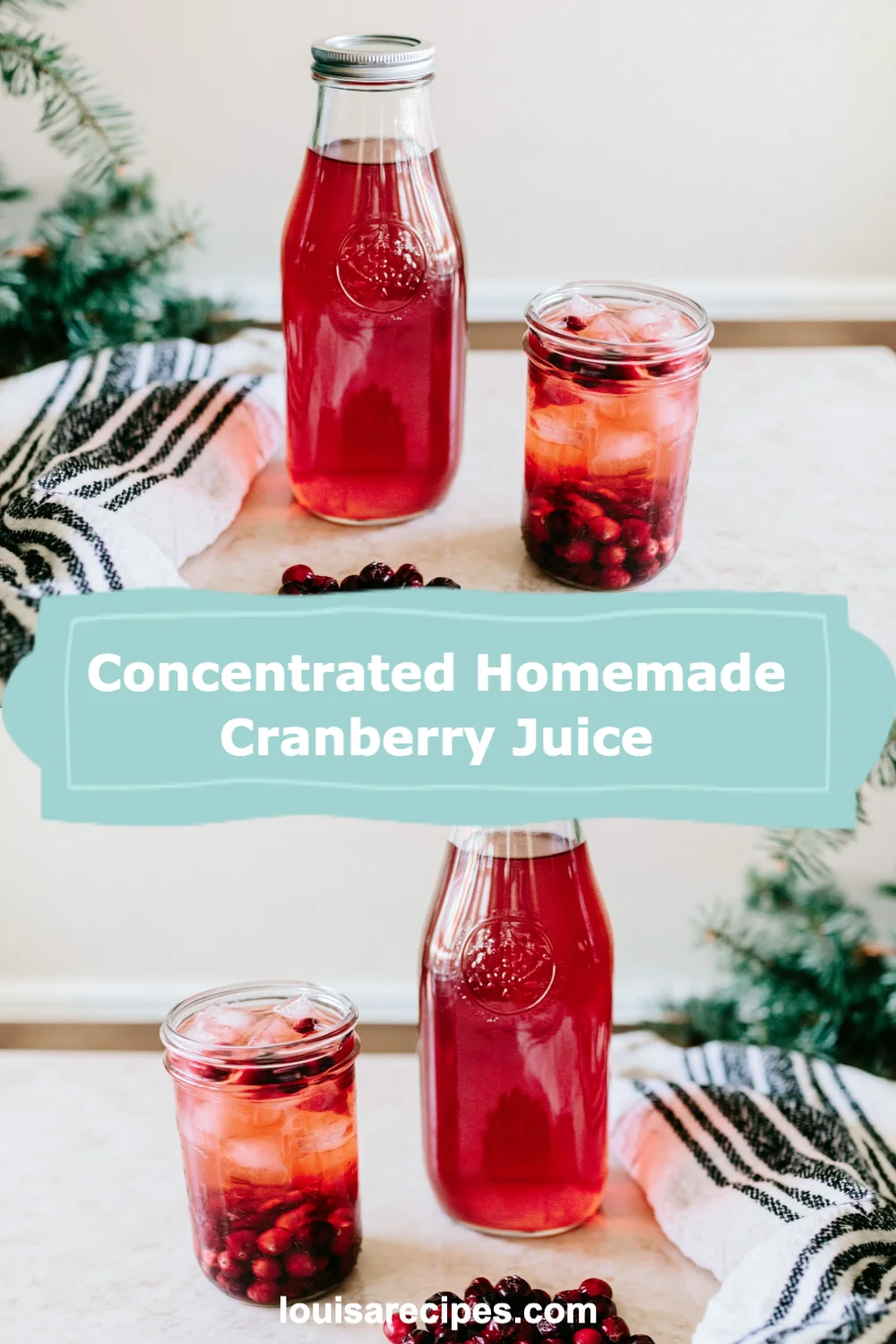 Delight in Refreshing Concentrated Homemade Cranberry Juice: Easy Recipe Inside!