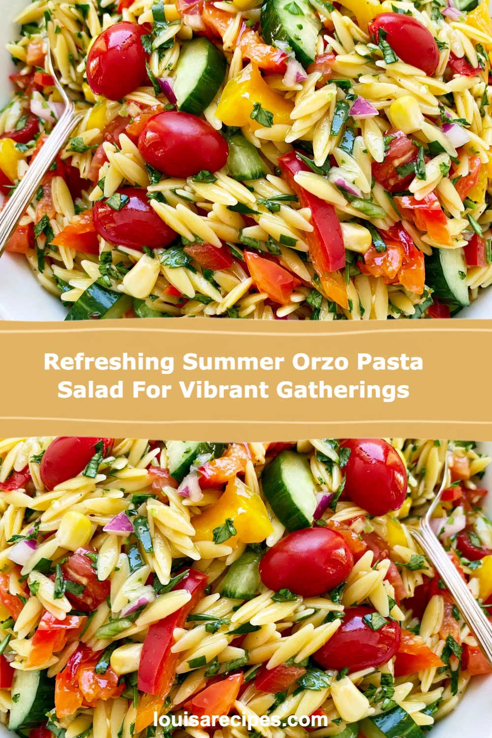 Refreshing Summer Orzo Pasta Salad Recipe for Vibrant Gatherings You Will Love